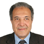 Ahmed G Hegazi