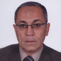 Baher Abdel Khalek Mahmoud Effat